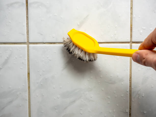 Best Home Mold Removal  in Laurel Hill, NC