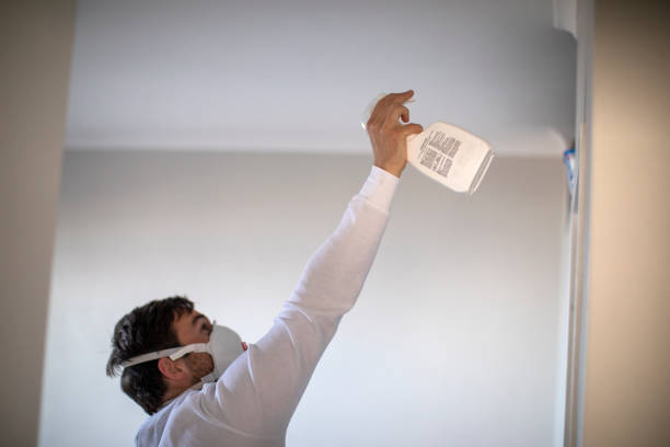 Best Professional Mold Removal  in Laurel Hill, NC