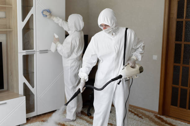 Best Professional Mold Removal  in Laurel Hill, NC