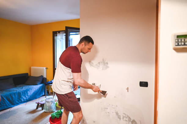 Best Water Damage Restoration  in Laurel Hill, NC