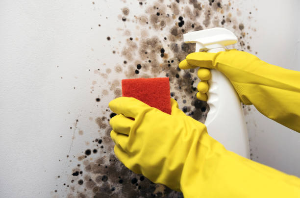 Water Damage Restoration in Laurel Hill, NC